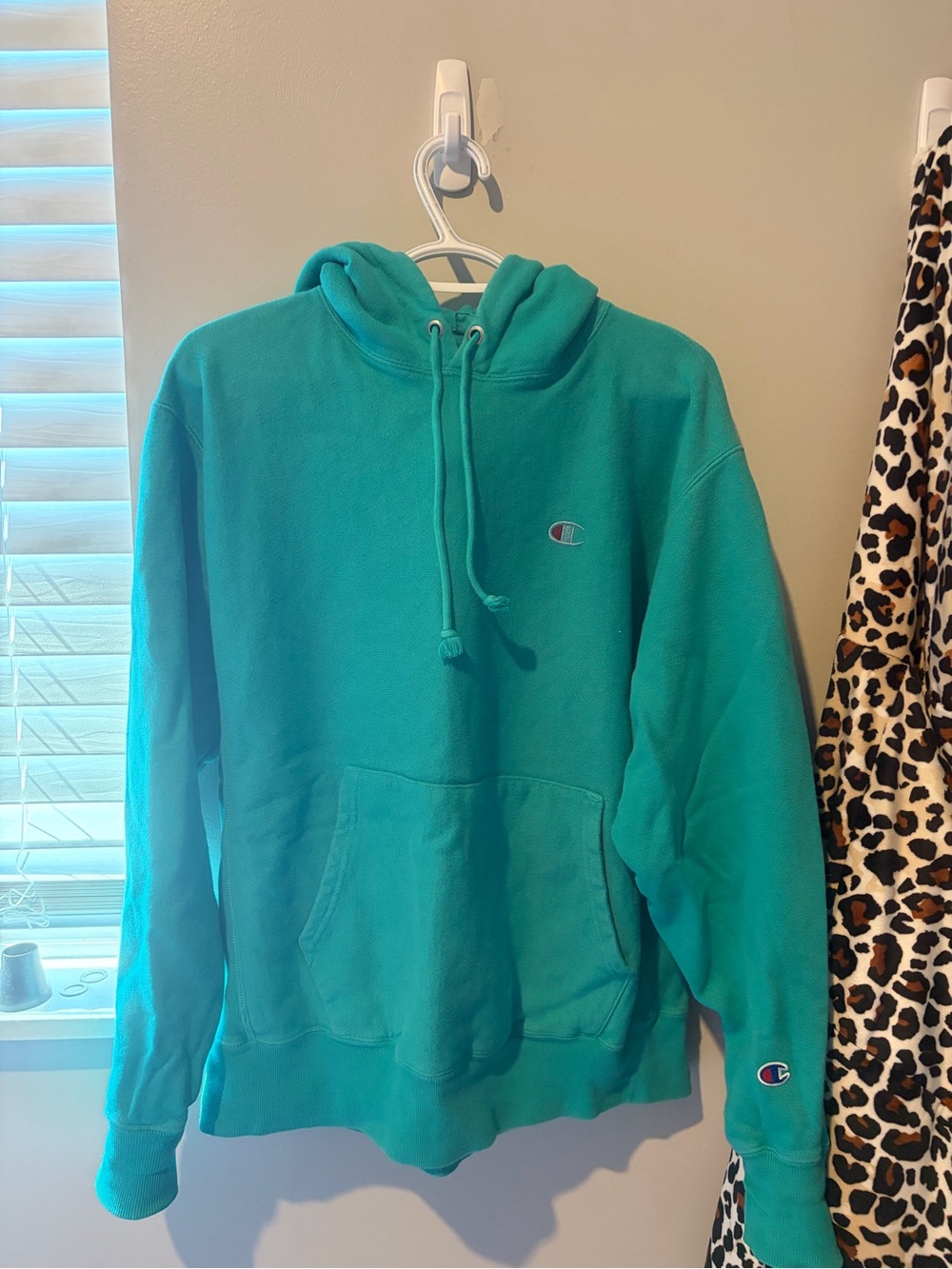 Champion Women's Teal Pullover Hoodie